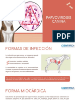 Parvovirosis Canina
