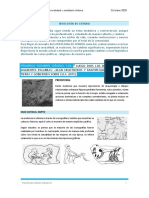 Ideología de Género PDF
