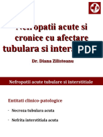 NTI acute si cronice _ nov 2019