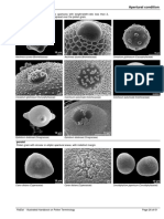 26 - PDFsam - Halbritter Etal 2005 Illustr Handbook Pollen Terminology