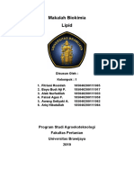 Makalah Biokimia  Lipid