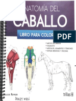 Anatomía Del Caballo, Libro para Colorear - Compressed