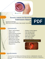 Apresentação Embriologia