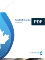 Canadian Natural Gas - Introduction