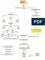 Metabolismo Bacteriano3