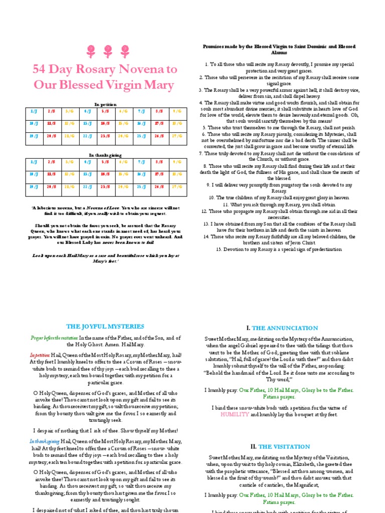54 Day Rosary Novena To Our Blessed Virgin Mary | PDF | Rosary | Mary ...