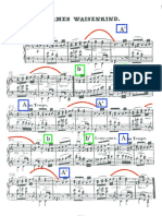 2 schumann.pdf