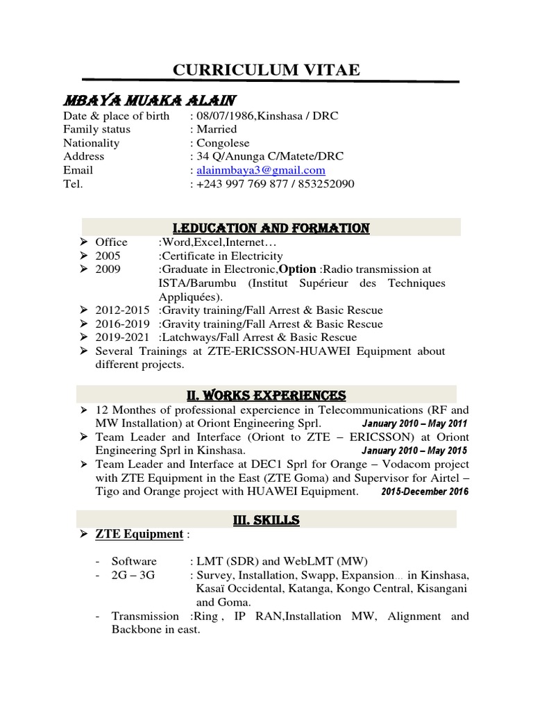 Alain Liquid Telecoms CV PDF | PDF | Democratic Republic Of The Congo ...