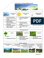 Екологічні групи і життєві форми рослин Вовк Тарас 6Б PDF