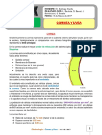 5 y 6. Cornea Y Uvea 14-03-17 PDF