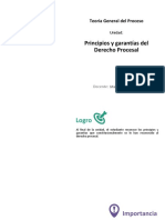 U2_S3_Principios y Garantías Del Derecho Procesal