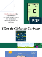 Ciclo Del Carbono