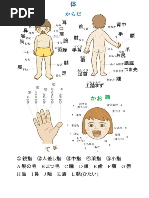 体部位 漢字 Pdf