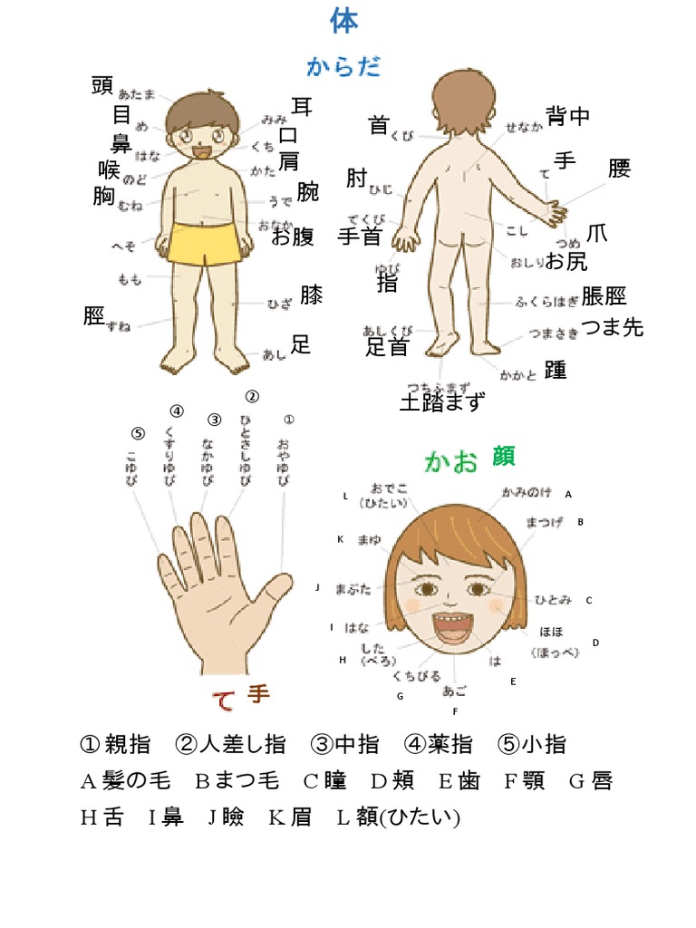 体部位 漢字 Pdf