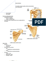 The Skeletal System Part III - Appendicular Skeleton Objectives