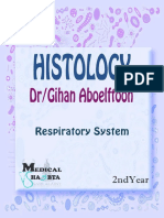 Respiratory System