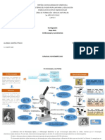 Mapa Mixto El Microscopio y Sus Elementos