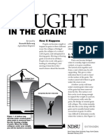 CAUGHT IN THE GRAIN! Revised Safety Guide