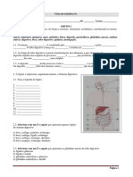 Ficha de Trabalho - Sistema Digestivo - 1