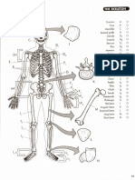 Skeletal System Coloring Page S 1