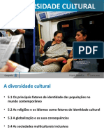 A diversidade cultural e os fatores de identidade