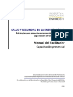 Facilitador - Capacitacion - Presencial - Salud y Seguridad en La Energía Eólica