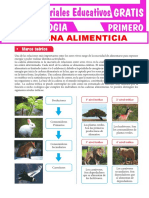 Cadenas Alimenticias para Primero de Secundaria PDF