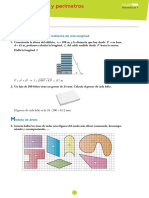 AREAS Y PERIMETROS.pdf