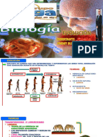 PDF Diapositivas Evolución Sexto