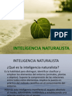 7. INTELIGENCIA NATURALISTA