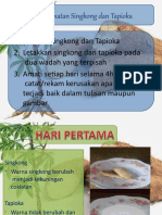 A. Pengamatan Singkong Dan Tapioka