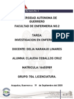 Investigacion en Enfermeria Mapa PDF