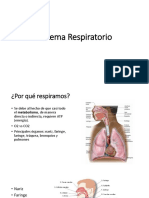 1293609_sistemarespiratorio (1)