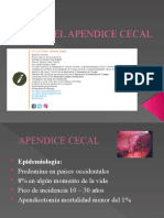 El apéndice cecal: anatomía, fisiopatología y tratamiento