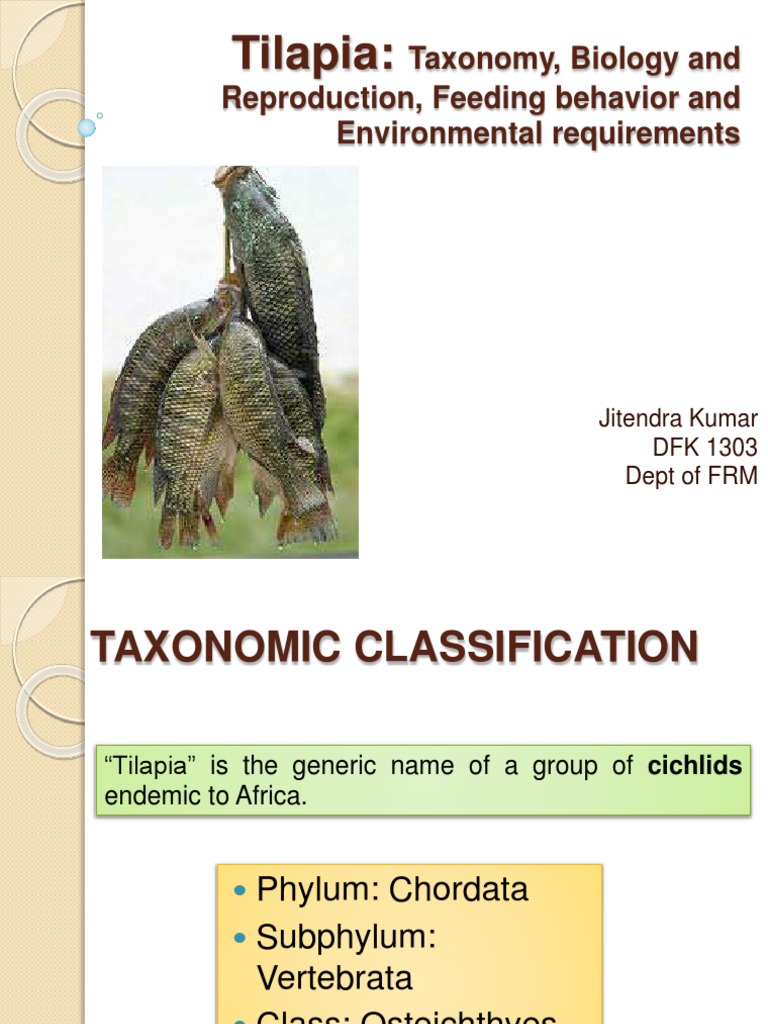 Tilapia Taxonomy, Biology and Reproduction, Feeding Behavior and Environmental Requirements