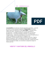 El Armadillo