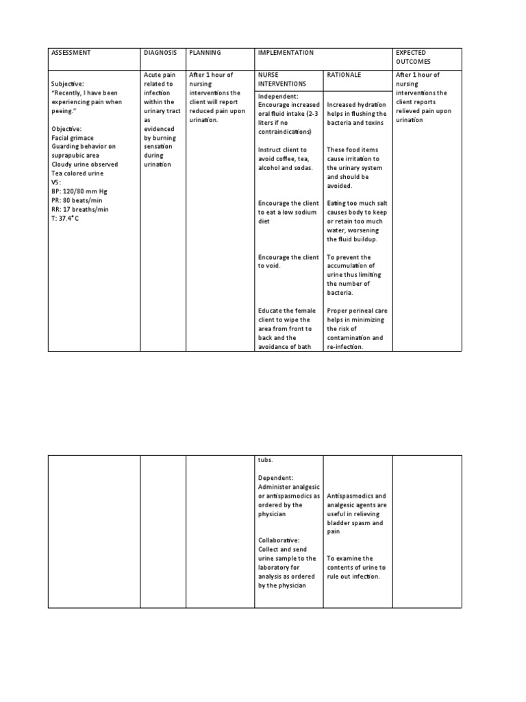 Uti NCP | PDF | Urine | Urination