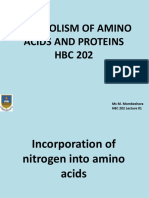 202incoperation of Nitrogen Into Amino Acids PDF