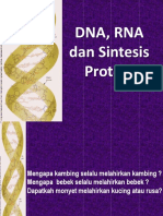 DNA, RNA & Sintesis Protein PDF
