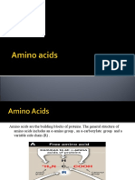 312285349-Amino-Acids-Properties