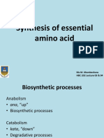 (3 4) B 202synthesis of Essential Amino Acids