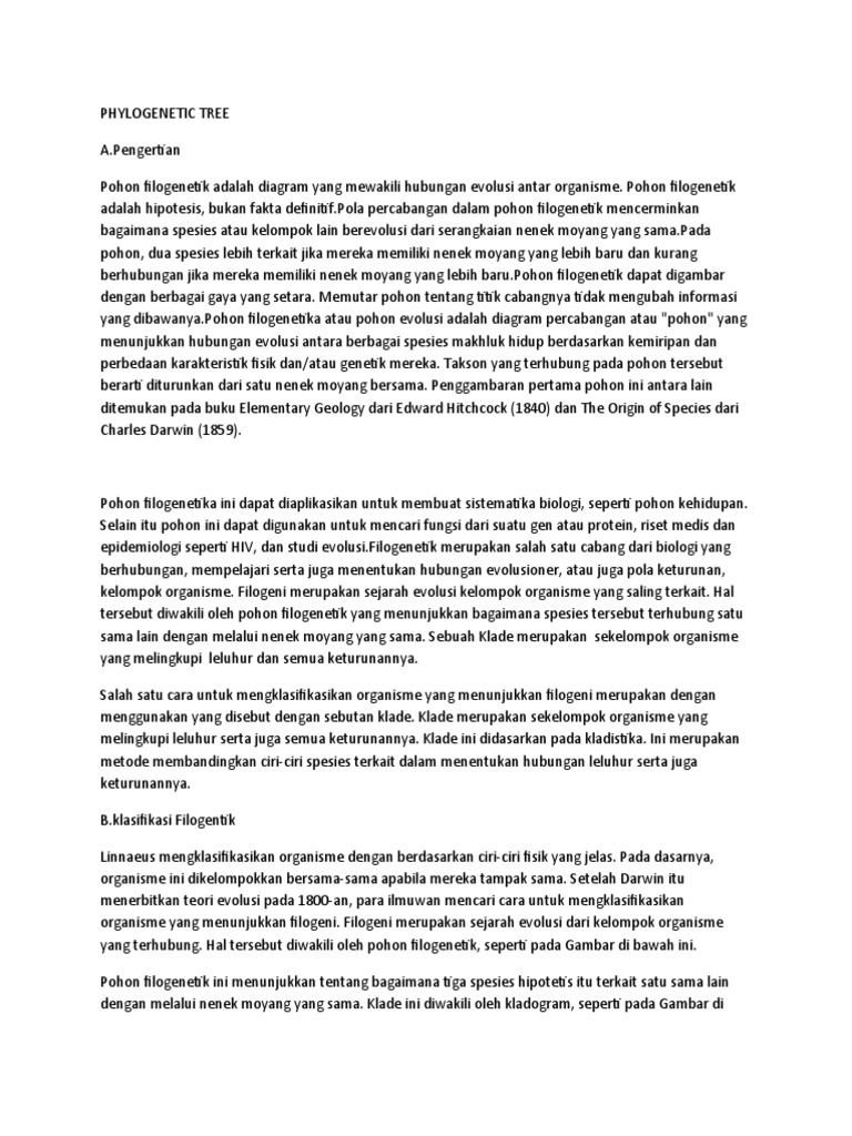 Hubungan Evolusi Spesies dalam Filogeni | PDF