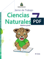 Cuaderno Trabajo mAM9uFX PDF