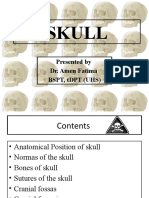Skull - Part 2