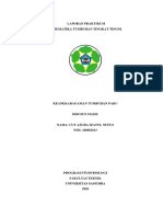 Cut Azura Izatul Nufus - 180602013 - Laporan Praktikum STTT Keanekaragaman Paku-Dikonversi