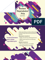 kel. 2 sistem reproduksi pria