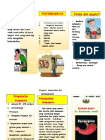 389193711-Leaflet-dyspepsia-doc.doc