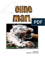 WWW - Referat.ro-Feline Mari5128ebba5