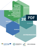 Estudio_para_identificación_de_oportunidades_de_negocio_de-_recursos_endogenos_del_territorio_EUROACE_PDF-1