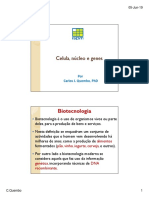 Extraccao do DNA bases fundamentais.pdf